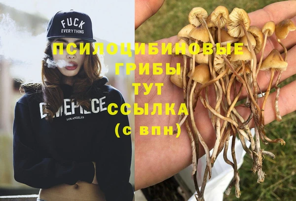 мескалин Верхнеуральск